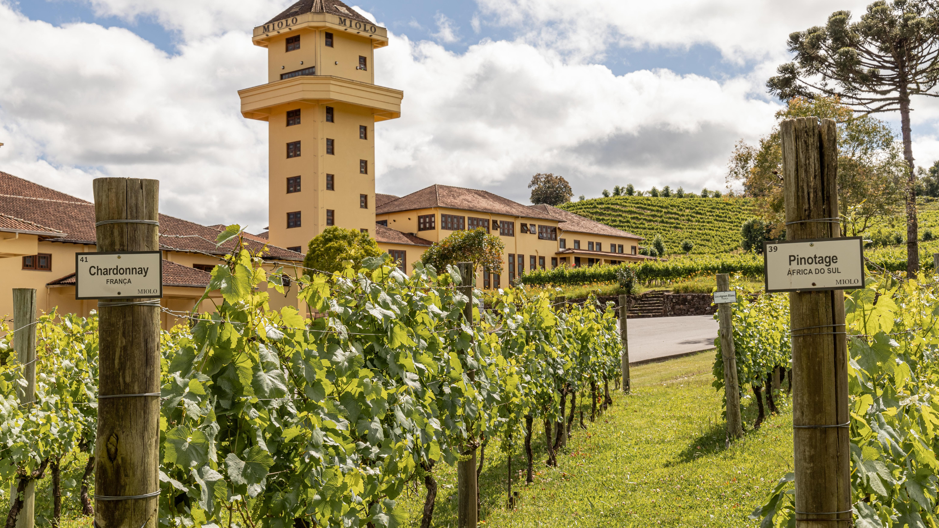 TOUR ITALIANO PREMIUM COM VALE DOS VINHEDOS
