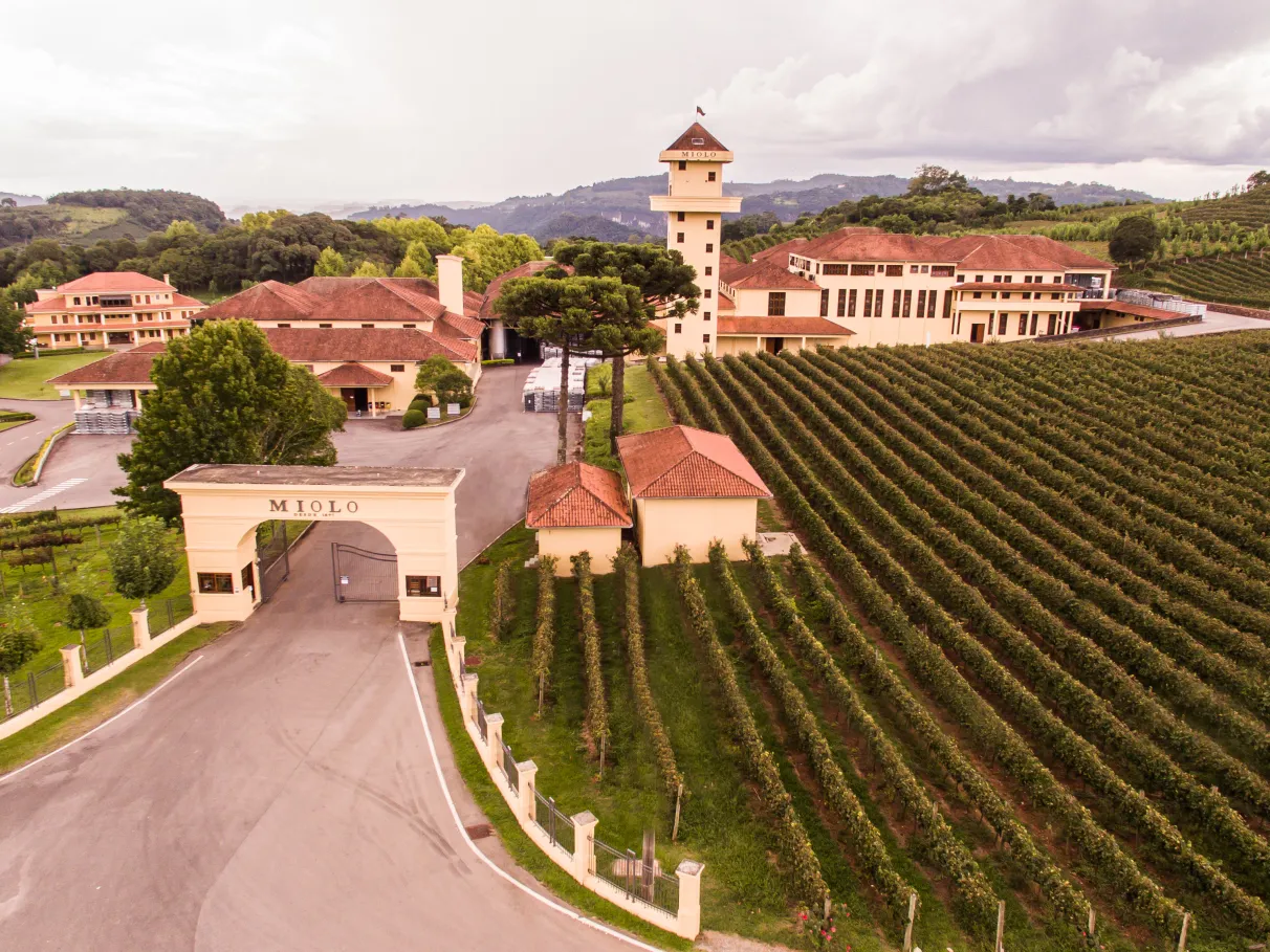 Tour Trem Maria Fumaça + Vale dos Vinhedos Premium