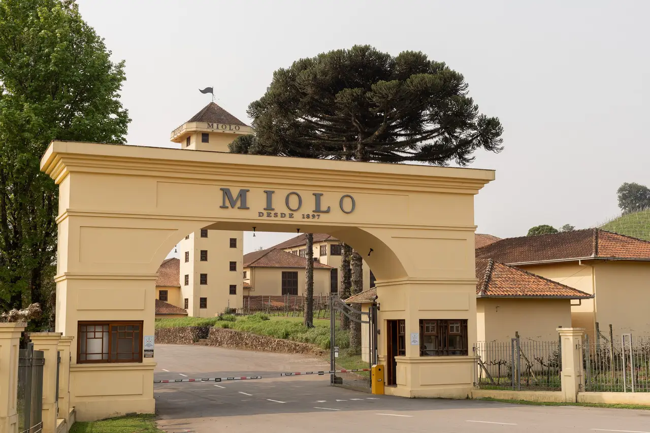 Tour Italiano Premium com 03 Vinícolas + Epopeia Italiana
