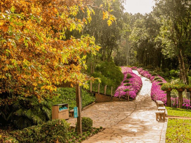 Tour Gramado + Garden Park + Olivas Sunset